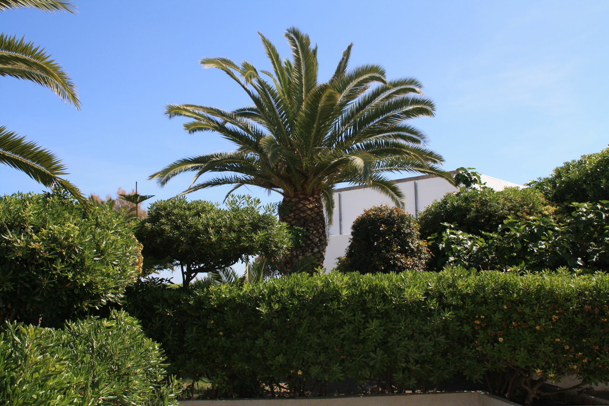 Hotel Villaggio Club Altalia Residence Brancaleone 外观 照片